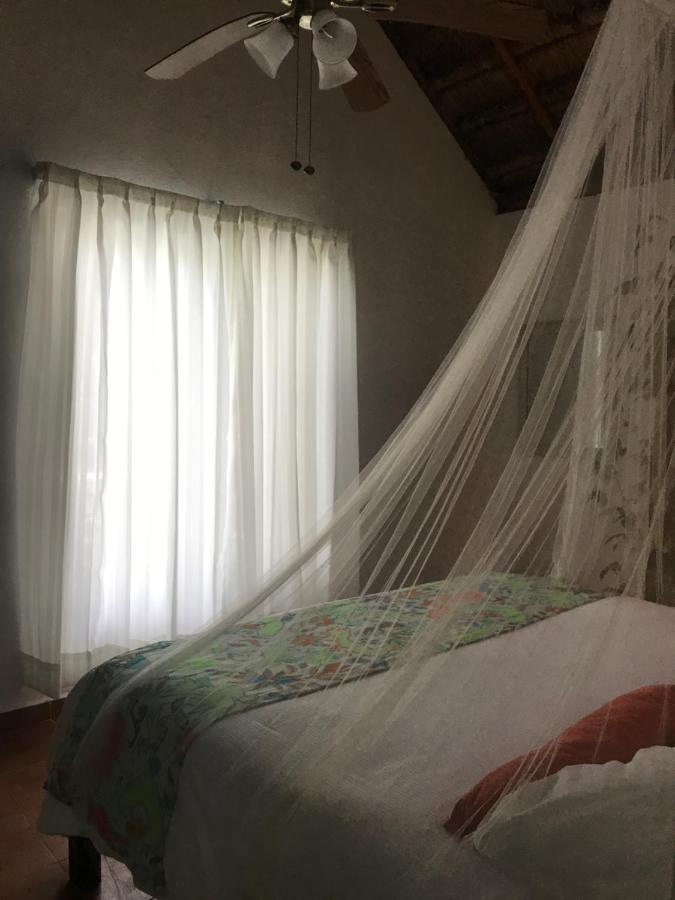 Hotel Ecovergel Riviera Maya